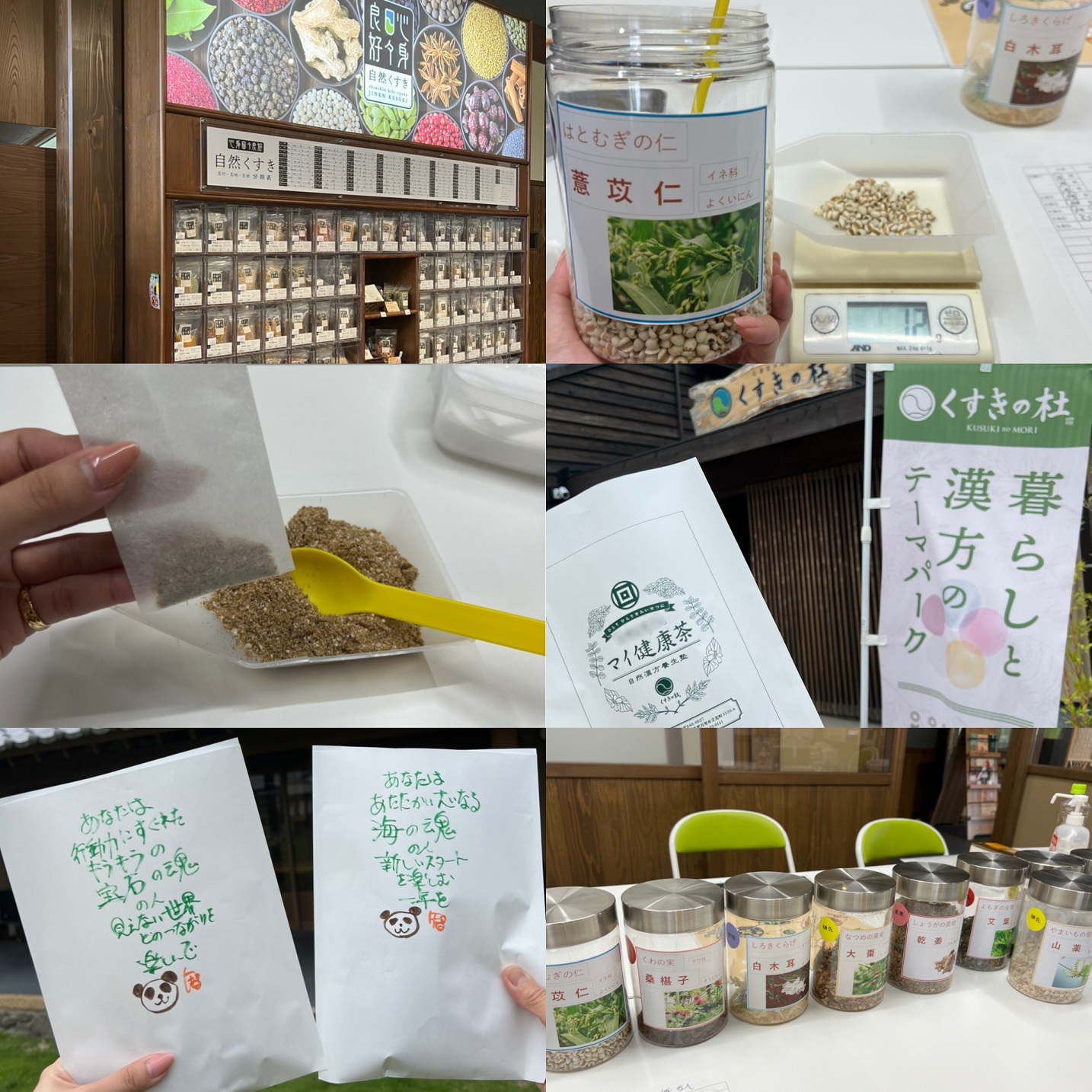くすきの杜マイ健康茶作り体験