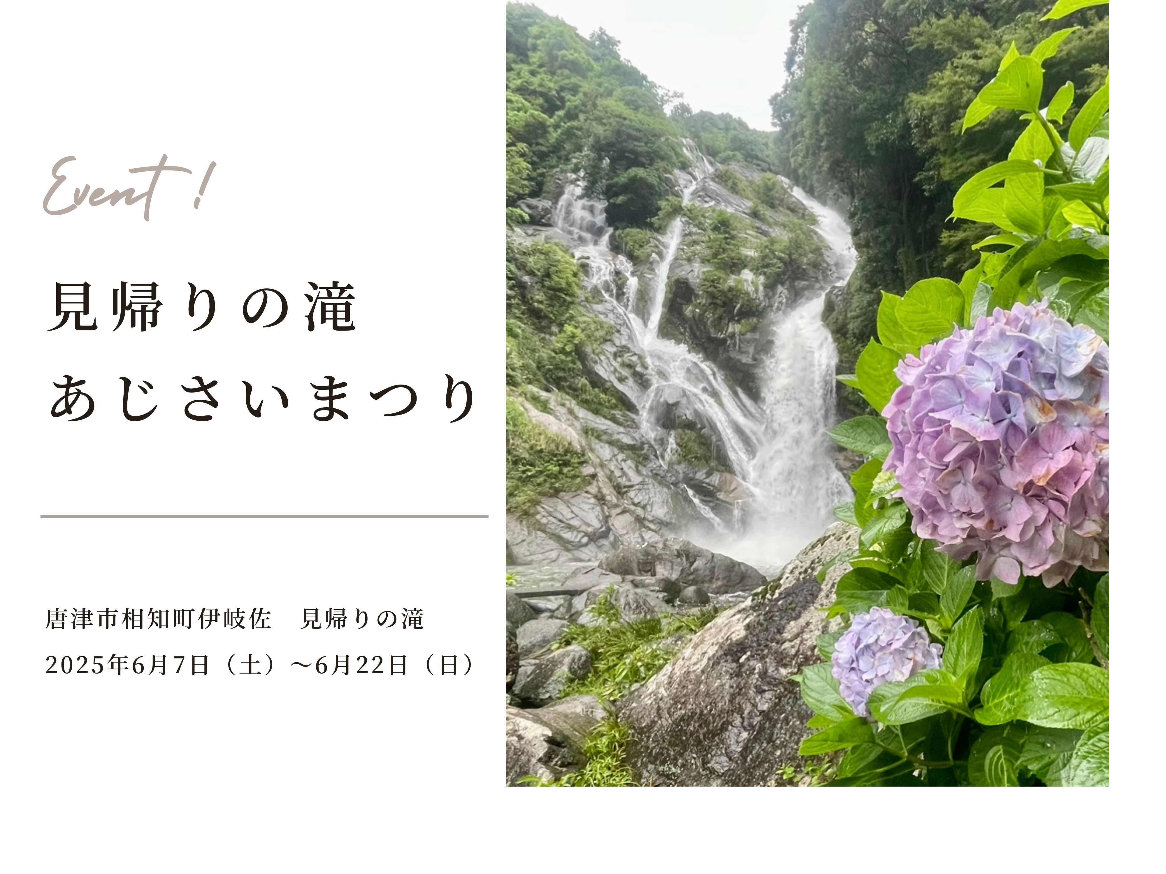 「見帰りの滝　あじさいまつり」のご紹介
