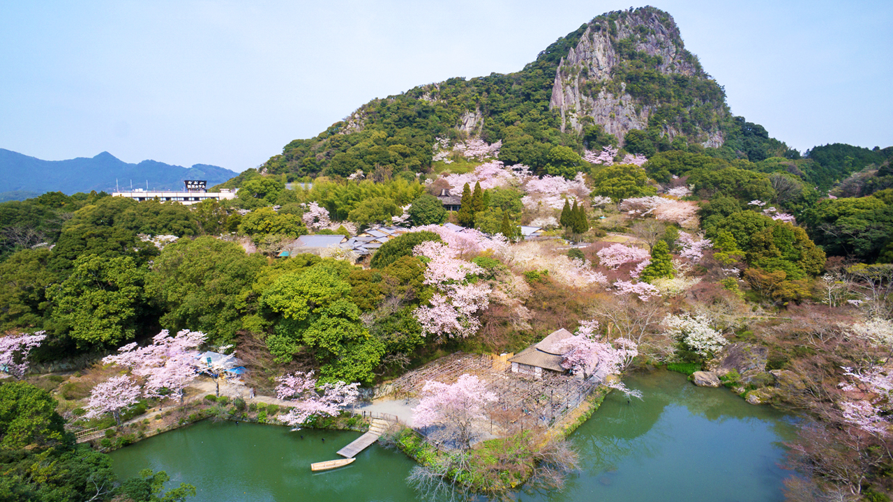 【御船山楽園】花まつり～桜～