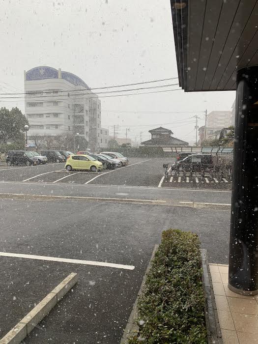 また雪が降っています