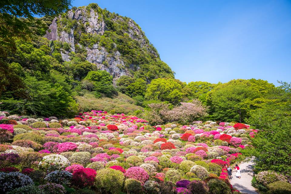 御船山楽園　花まつり