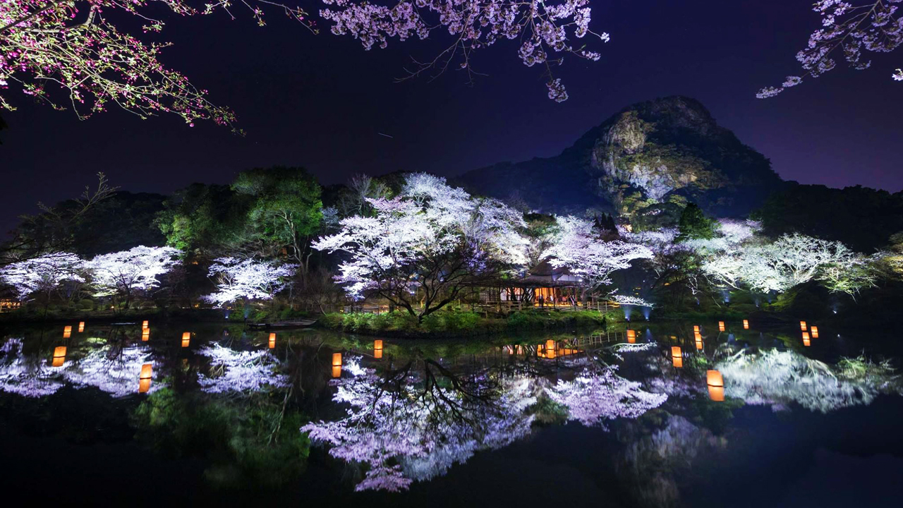 【御船山楽園】花まつり～桜～