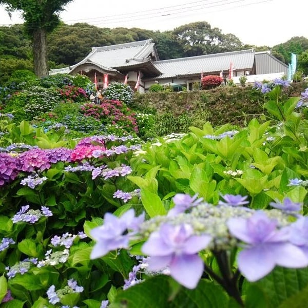 お不動さん春季大祭