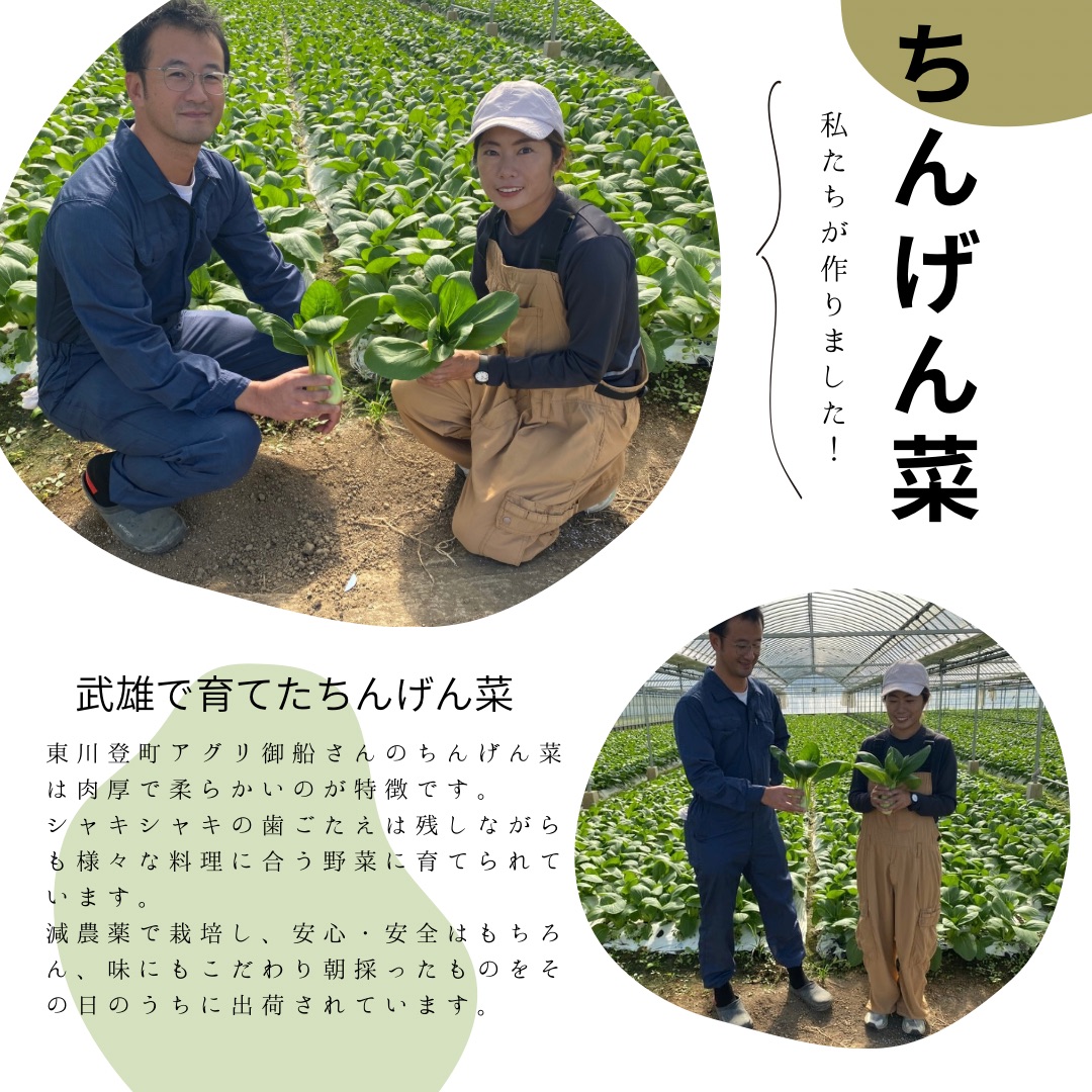 11月朝食フェアについて