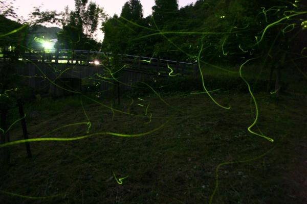 武雄温泉保養村　ほたる観賞