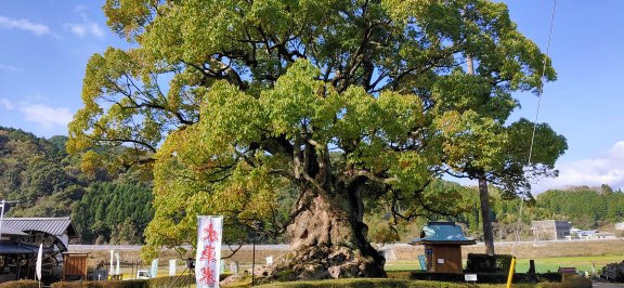 5月16日は旅の日です