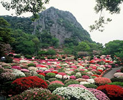 御船山楽園